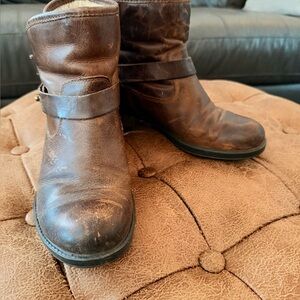 Steve Madden Brown Ankle Boots